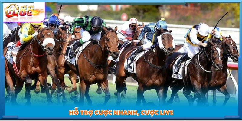 Hệ thống hỗ trợ đặt cược nhanh và cược live mượt mà