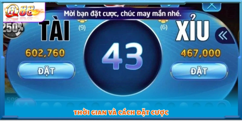 Thời gian đặt cược và quy trình tham gia 